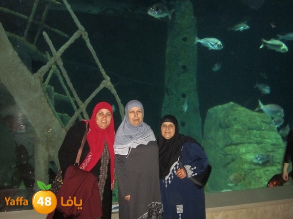 istanbul42500 (16).JPG